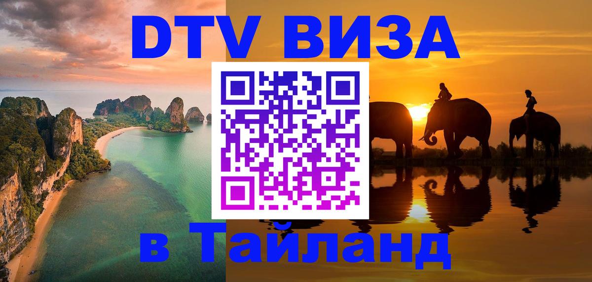 Сколько стоит DTV виза — актуальные цены, оформление даже без документов - Ватикан  06.12.2025 